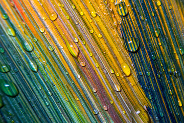 Colorful multicolored paints are covered with water drops. Multicolor abstraction. Fantastic...