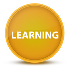 Learning luxurious glossy yellow round button abstract
