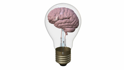The brain in the bulb. Rendering in 3D.