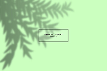 Plant shadow overlay effect on green background