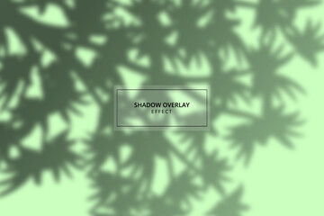 Plant shadow overlay effect on green background