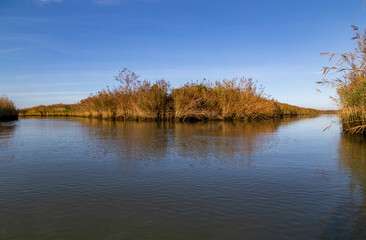 Polesine, Delta del Po in Canoa