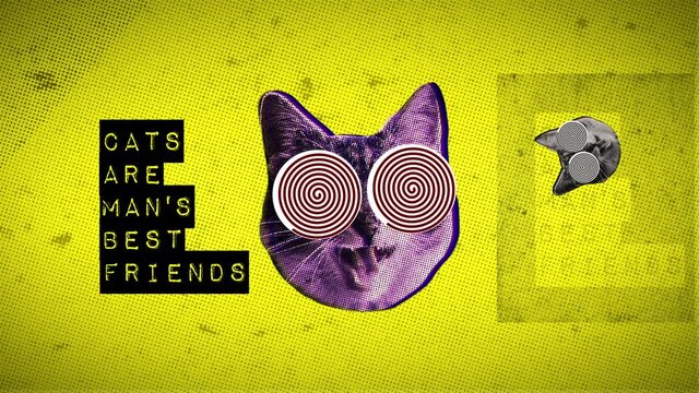 Cats are man's best friend - Zine culture graphic animation