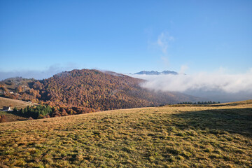 Riserva naturale integrale Piaie Longhe-Millifret in autunno
