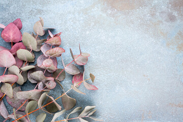 Eucalyptus composition. Pattern made of various colorful flowers on white background. Flat lay stiil life.