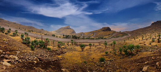 Simien Mountains landcape with clear day with blue sky and white clouds. Lobelia trees in the rock mountain, gravel road at 4200 m elevation altitude. Simien National Park in Ethiopia. - obrazy, fototapety, plakaty