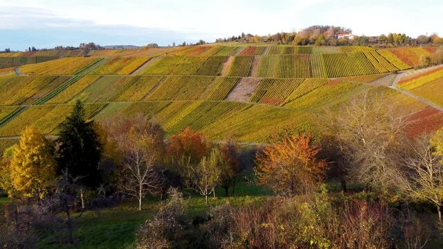 Flug &uuml;ber Weinberge im Herbst bei Schnait, Remstal
