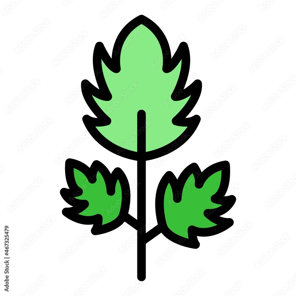 Poster parsley botany icon. outline parsley botany vector icon color flat isolated