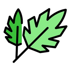 Parsley eco icon. Outline parsley eco vector icon color flat isolated