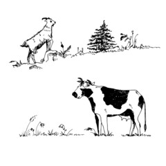 Cow and goat in a pasture in meadow grasses. Vector illustration.