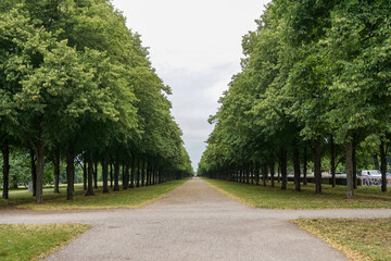 The best green jogging alley