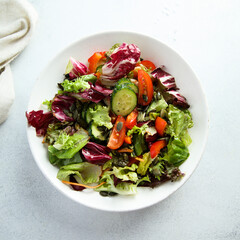 Healthy vegetable salad with avocado