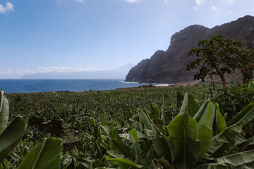 Plantación de plátanos en la costa de La Gomera con el volcán de El Teide al fondo. © Jairo Díaz
