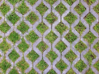Turf Block is used for laying lawns, decorating the garden to be beautiful and orderly.