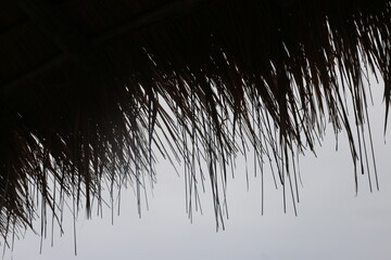 silhouette of roof made from dry grass