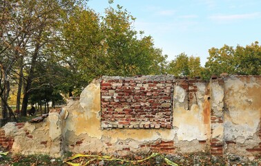 isolated ruined wall of a demolished building with bricks, trees from a park in the background and a blue sky