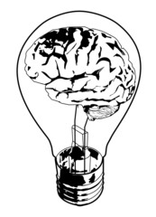 The brain in the bulb.
