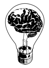 The brain in the bulb.