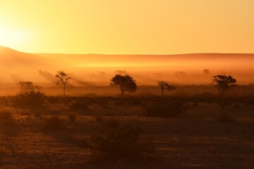 Fototapeta na wymiar Abendstimmung: die Elimdüne erscheint im Licht der untergehenden Sonne bei Sesriem im Namib-Naukluft Nationalpark. 