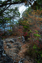 絶壁、岩場しかない両神山