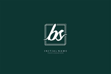 B S BS logo, Initial lettering handwriting or handwritten for identity. Logo with signature and hand drawn style.