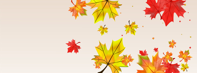 Fototapeta na wymiar Yellow Plant Background Beige Vector. Foliage September Illustration. Colorful Season Leaf. Decoration Leaves Texture.