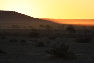 Naklejka premium Abendstimmung: die Elimdüne erscheint im Licht der untergehenden Sonne bei Sesriem im Namib-Naukluft Nationalpark. 