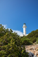White lighthouse tall tower in pine greenery on clear blue sky in Greece, Ionian sea. Scenic travel destination. Lefkada island. Vertical