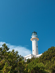 White lighthouse tall tower in pine bushes greenery on vivid blue sky in Greece, Ionian sea. Scenic travel destination. Lefkada island. Vertical