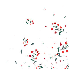 Green Berries Background White Vector. Herb October Frame. Burgundy Rowan Wallpaper. Drawn Template. Leaf Autumn.