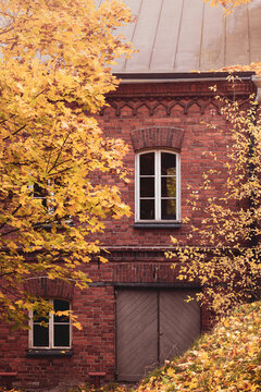 Old brick house and autumn leaves