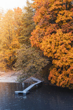 Wooden pier in autumn