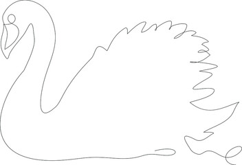 Swan continuous one line vector drawing. Contour illustration