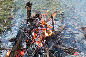 fire in the garden