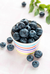 Blueberries on tile background
