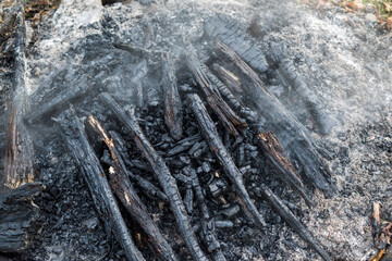 burning wood on black