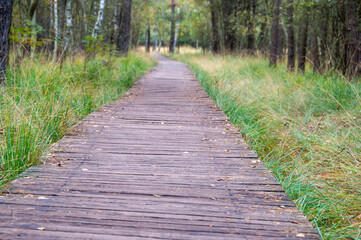 Holzbohlenweg im Moor