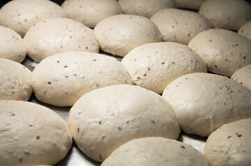 Fototapeta na wymiar Close-up Homemade yeast dough buns for cutlets on a baking sheet. Hamburger buns dough pieces