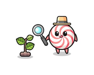 Fototapeta premium cute swirl lollipop herbalist researching a plants