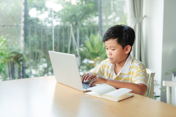 Little boy in virtual class. School at home
