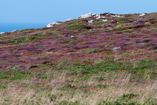 Pointe du Raz