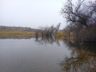 Day on lake