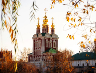 The golden domes of the church.