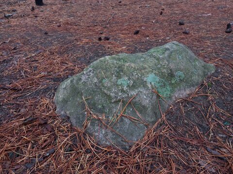 Stone in eath