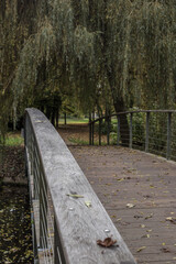 Ponton en bois dans un parc