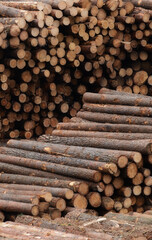 Making a construction board