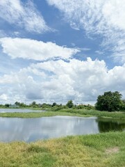 fish pond in country Thailand