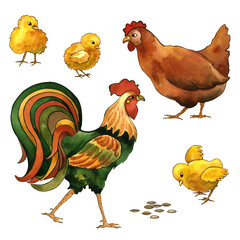 Watercolor set. Rooster, hen and chickens