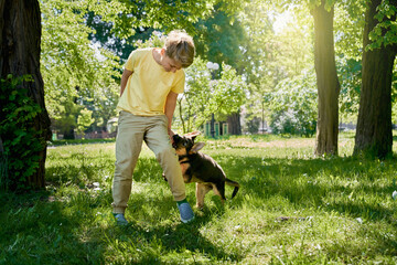 Positive caucasian kid having fun at summer park with german shepherd puppy. Happy boy spending time with best friend on nature during sunny weather.