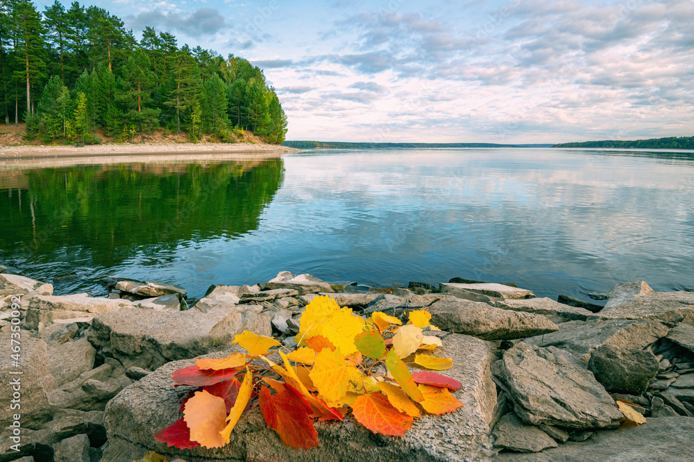 Wall mural autumn landscape, bright colorful leaves on the rocky riverbank.